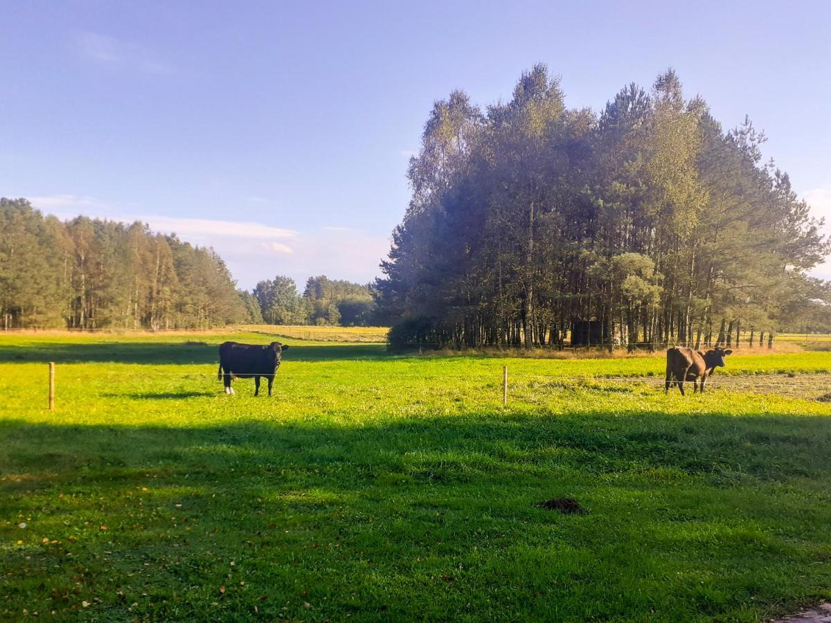 Przytulisko Stara Kiszewa Villa Eksteriør bilde