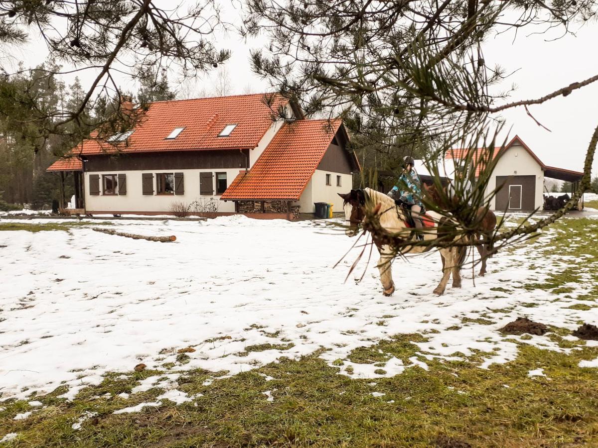 Przytulisko Stara Kiszewa Villa Eksteriør bilde